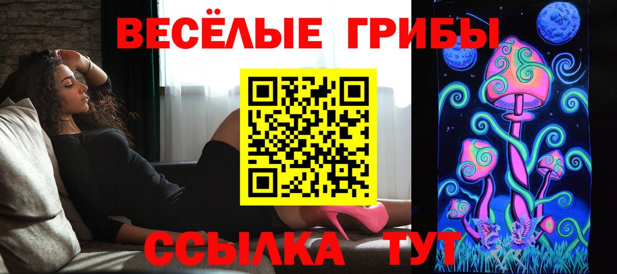 Галлюциногенные грибы Psilocybine cubensis Пыть-Ях